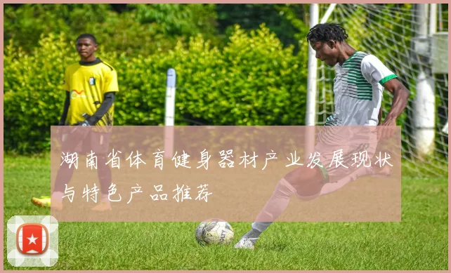 湖南省体育健身器材产业发展现状与特色产品推荐