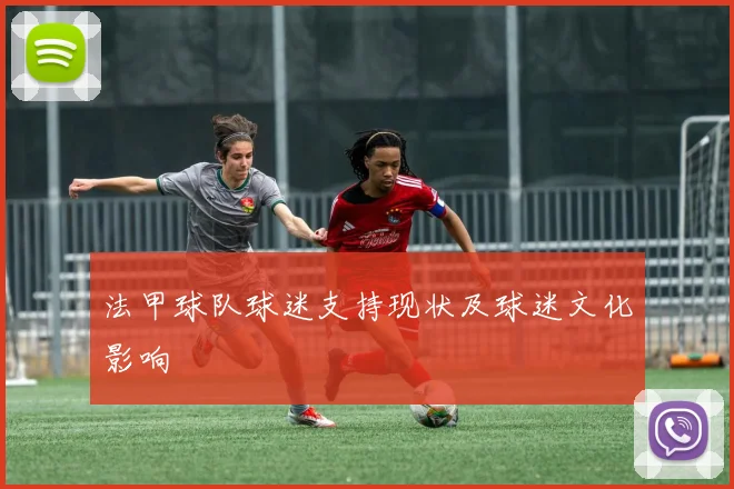 法甲球队球迷支持现状及球迷文化影响