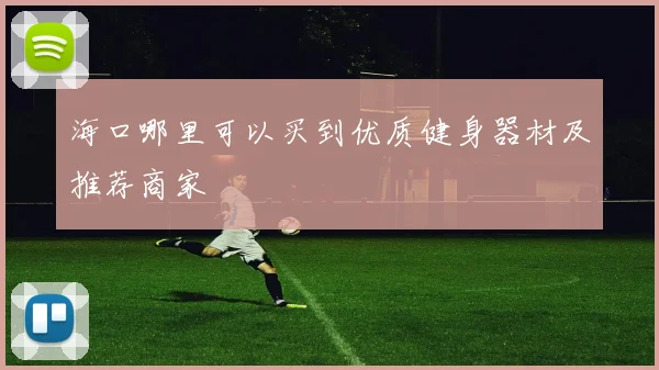 海口哪里可以买到优质健身器材及推荐商家