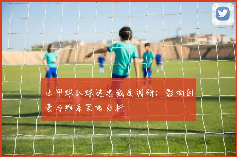 法甲球队球迷忠诚度调研：影响因素与维系策略分析