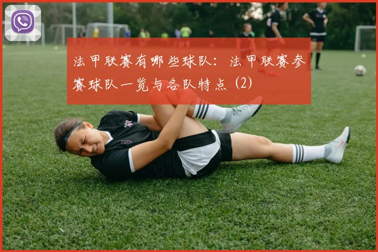 法甲联赛有哪些球队:法甲联赛参赛球队一览与各队特点 (2)